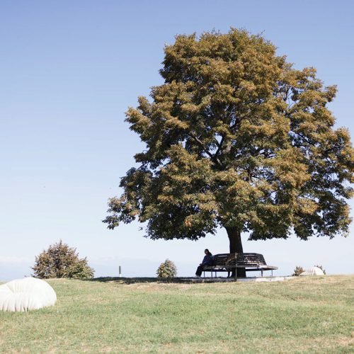 664d3b62-977b-4ede-9f0a-bee2f1bab7d4_rw_1200