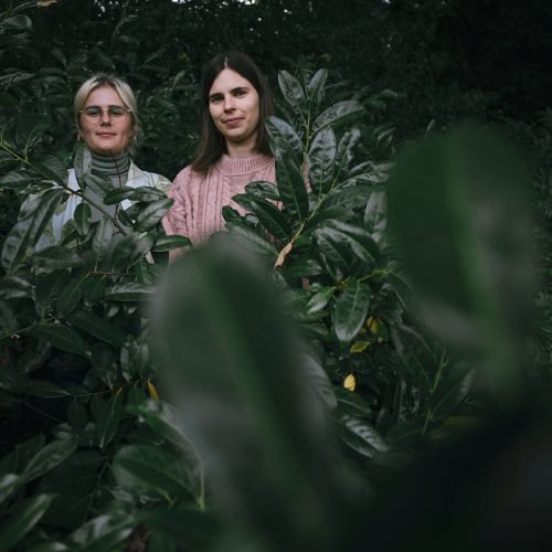 b23f765c-1230-4974-b3e8-5e6ab133cb1d_rw_1920