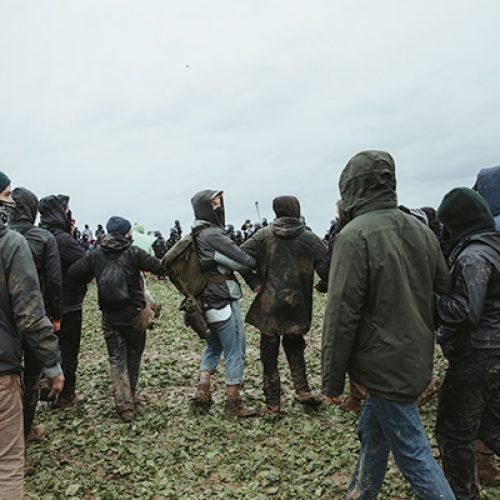 b5818cca-fdcb-4404-aa23-1e43b983b7eb_rw_600