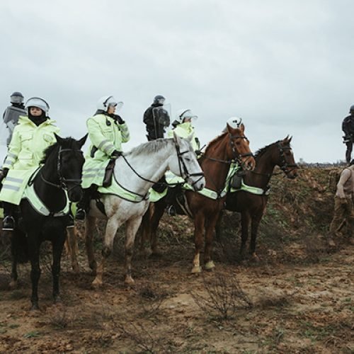 e7a6a486-d630-49bc-8be6-de95479cfb18_rw_600